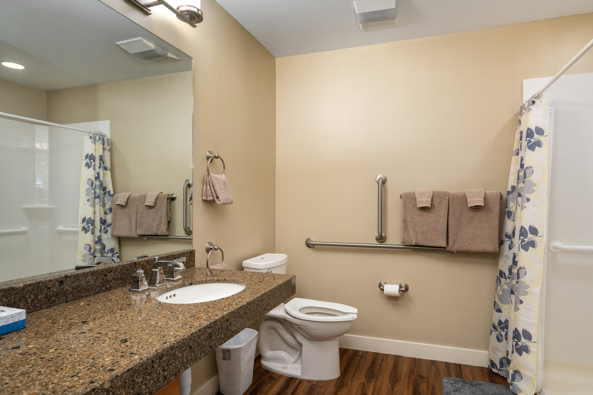 Senior Apartment Bathroom